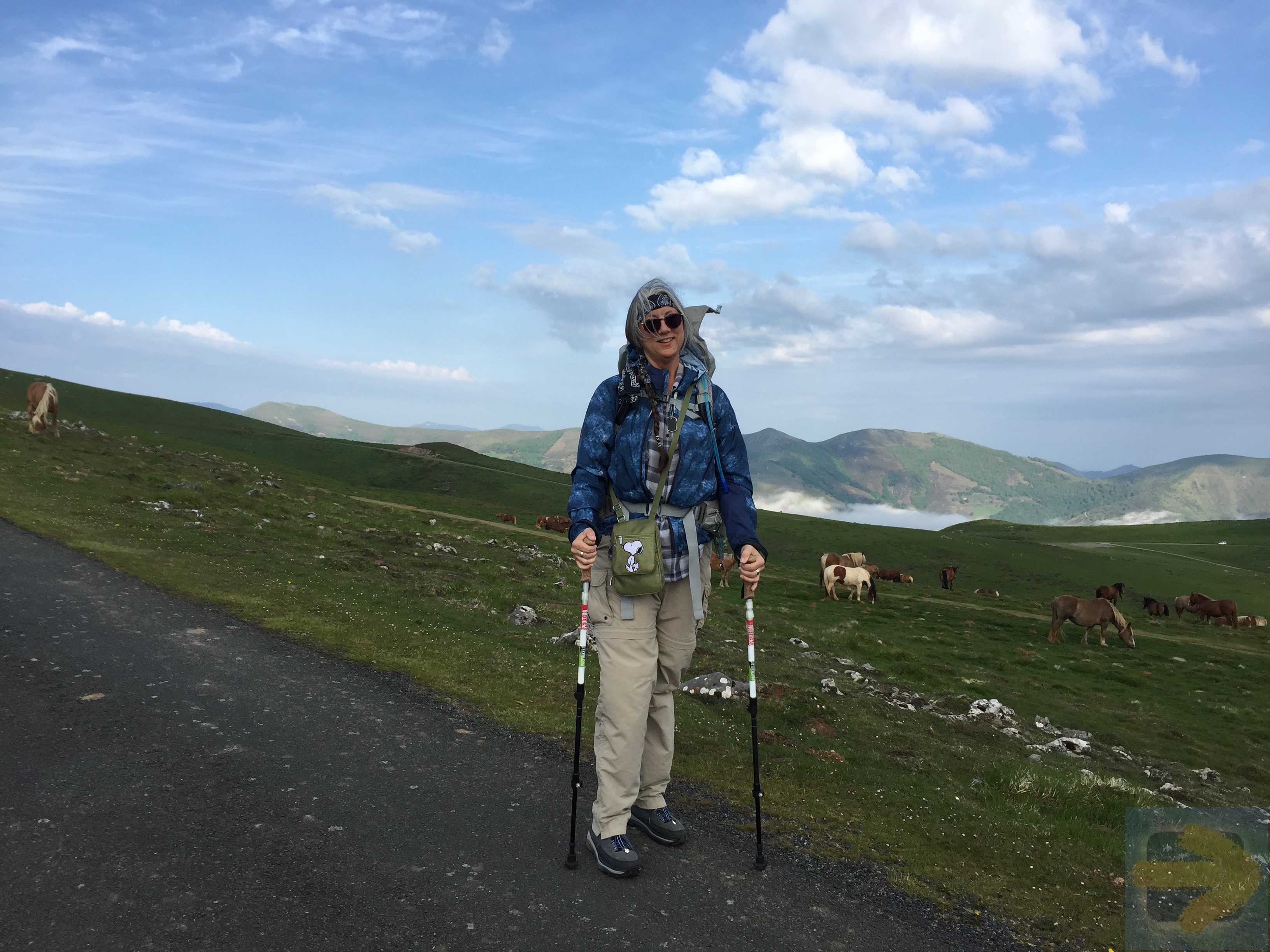 Above the clouds ~ trekking through the Pyrenees May 2016