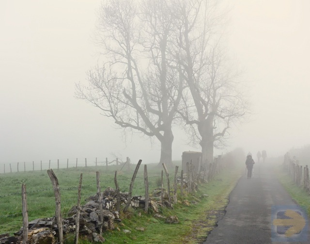 Camino Frances 2016 - Day 2 Foggy Morning on Napoleon Route
