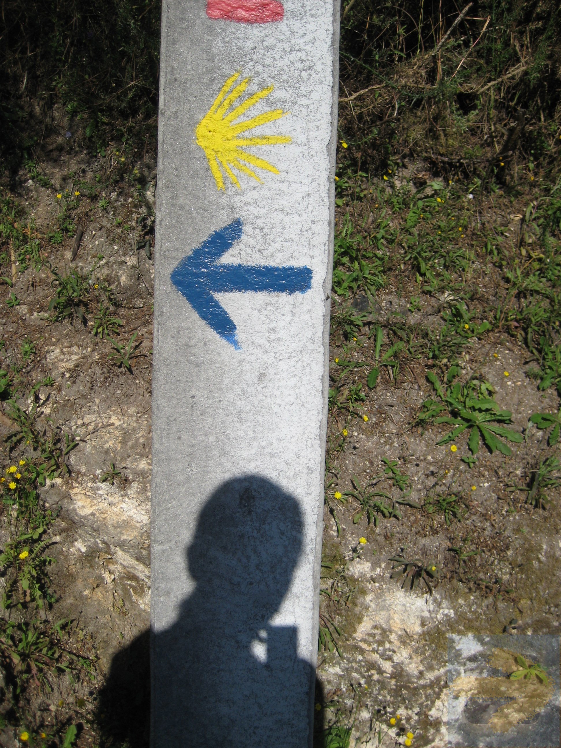 A Camino must - a shadow selfie