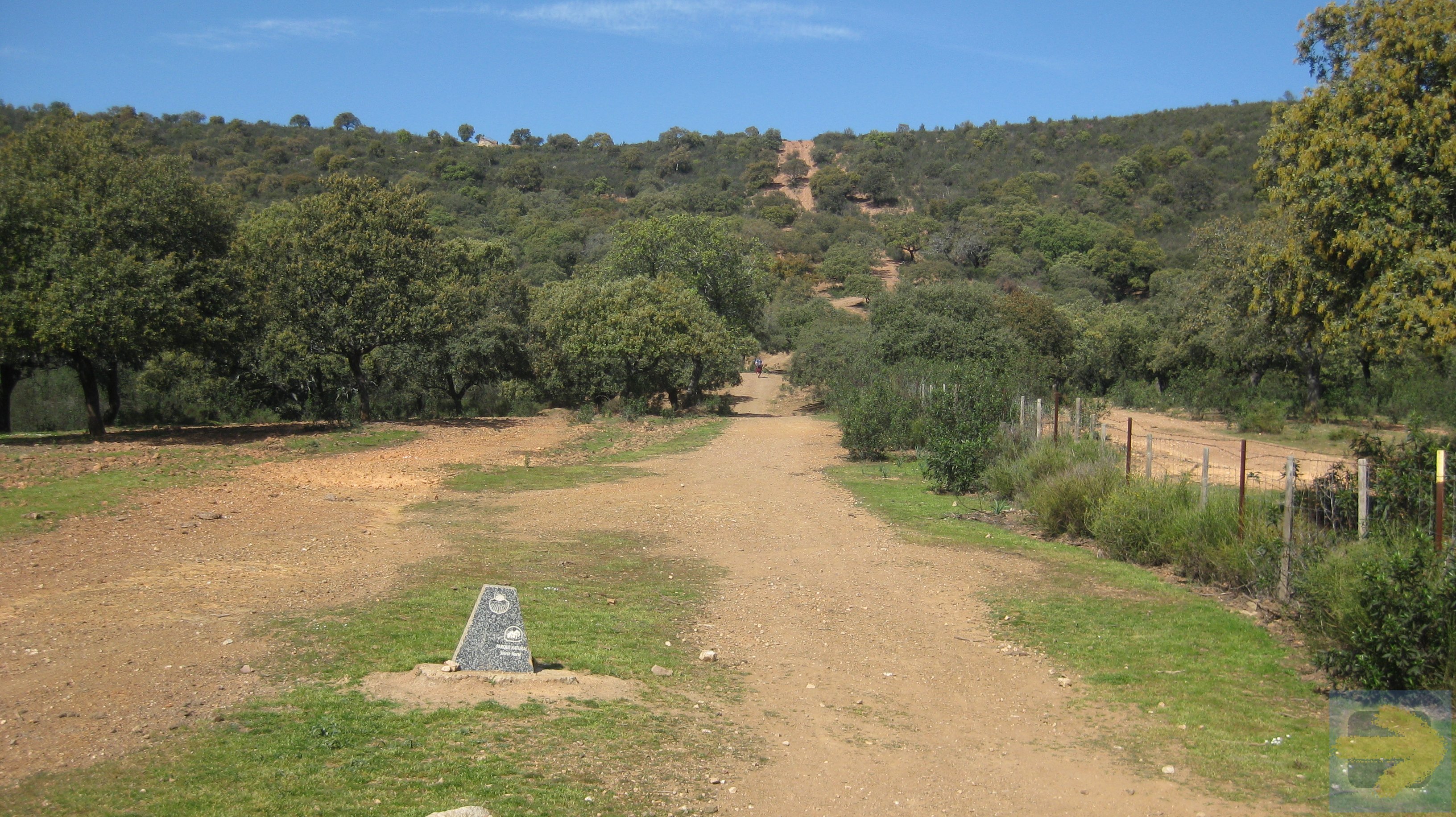 A challenging hill just before Almaden. 21 Feb 2020
