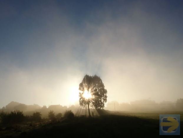 Ah, that magic Galician mist at sunrise...
