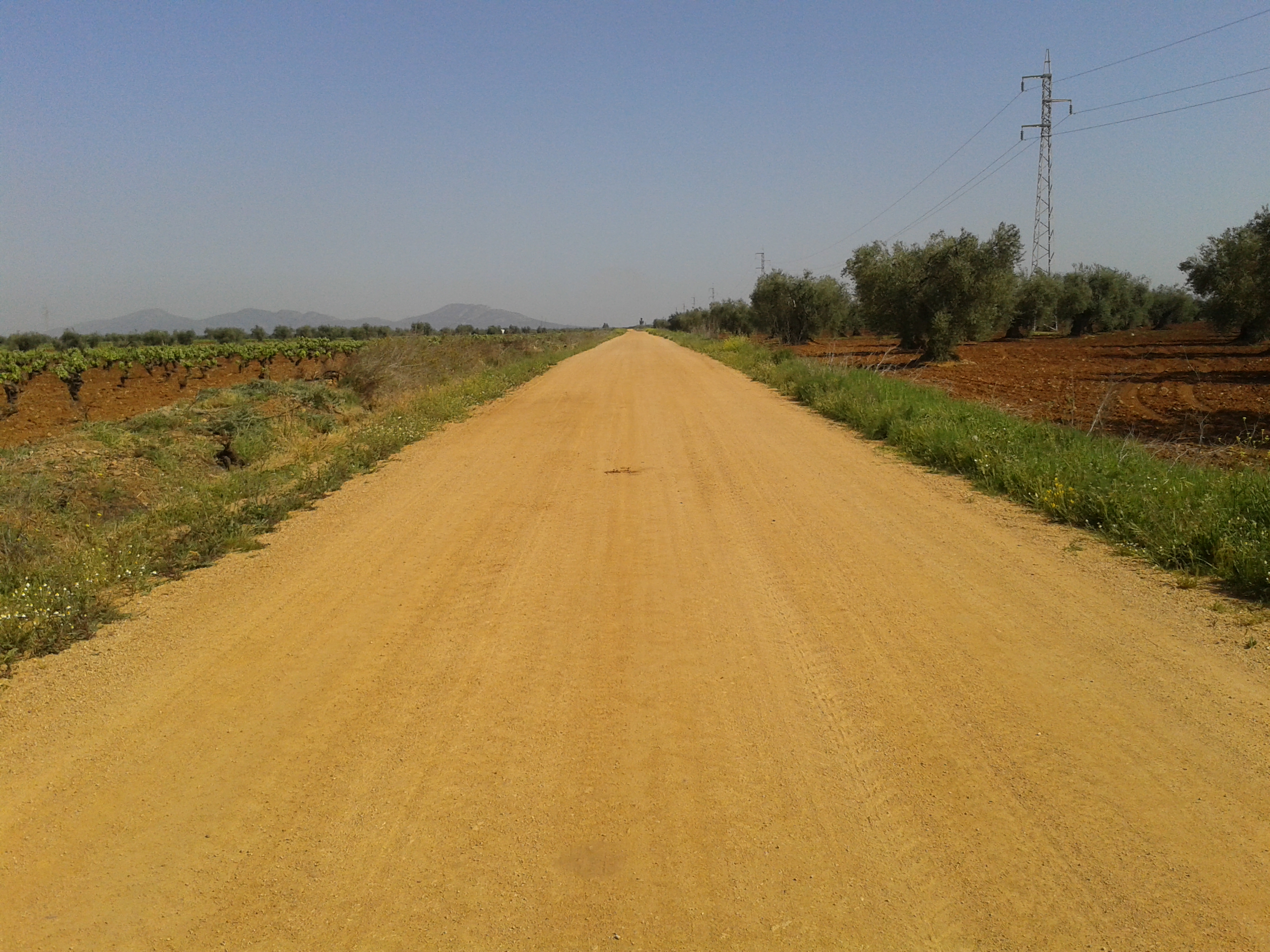 Almendralejo - View ahead