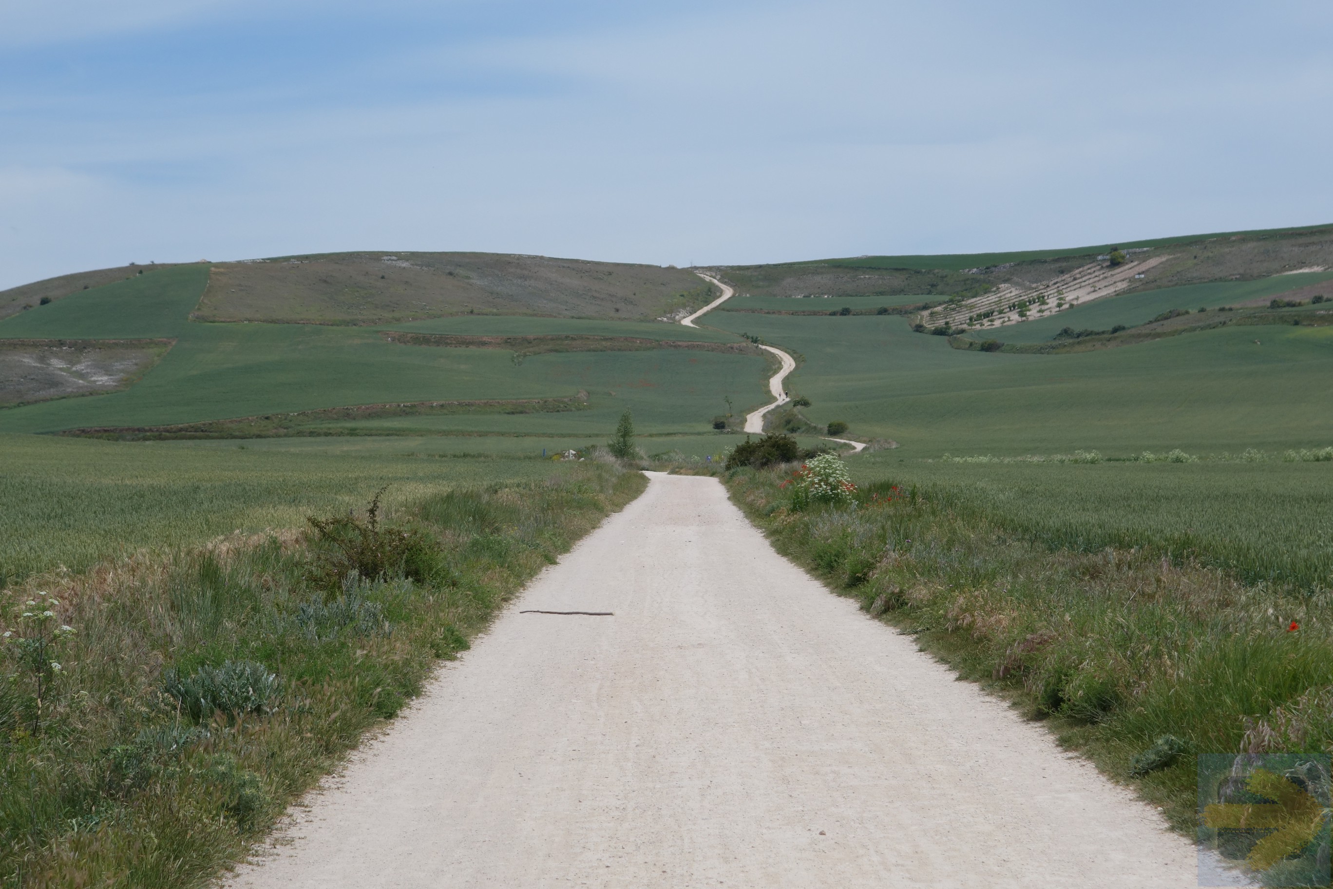 An Iconic shot of El Camino
