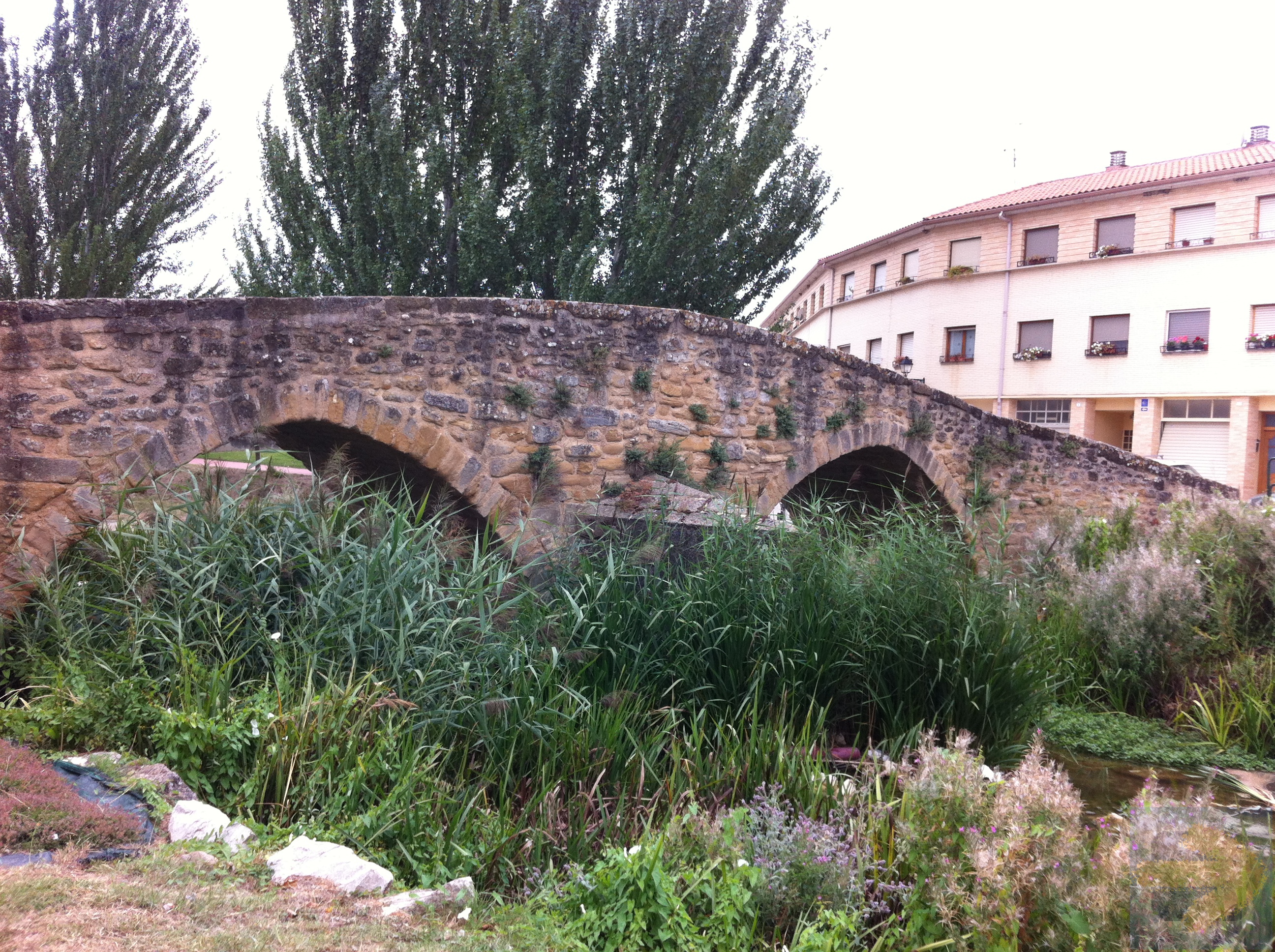 Bridge at Villatuerta