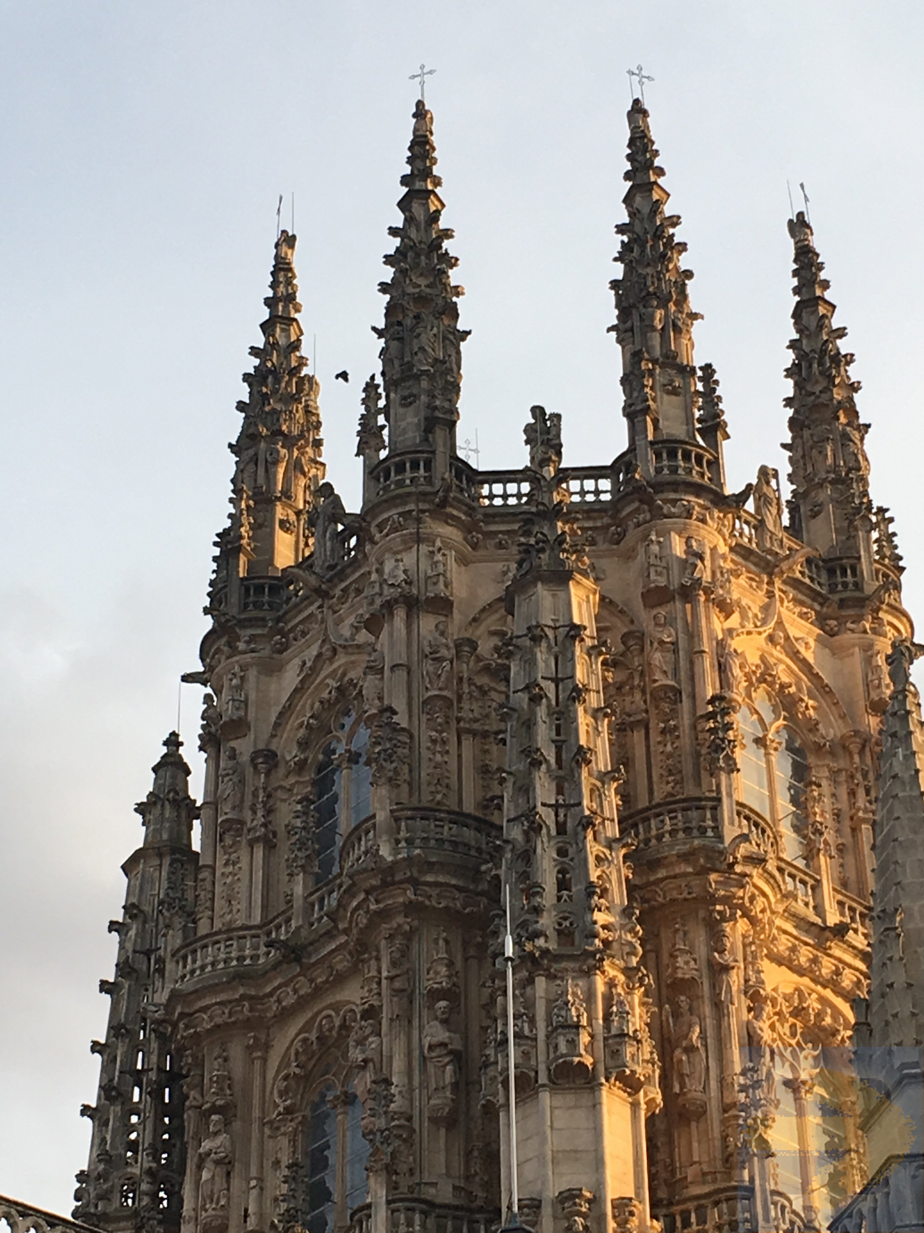 Burgos  Cathedral
