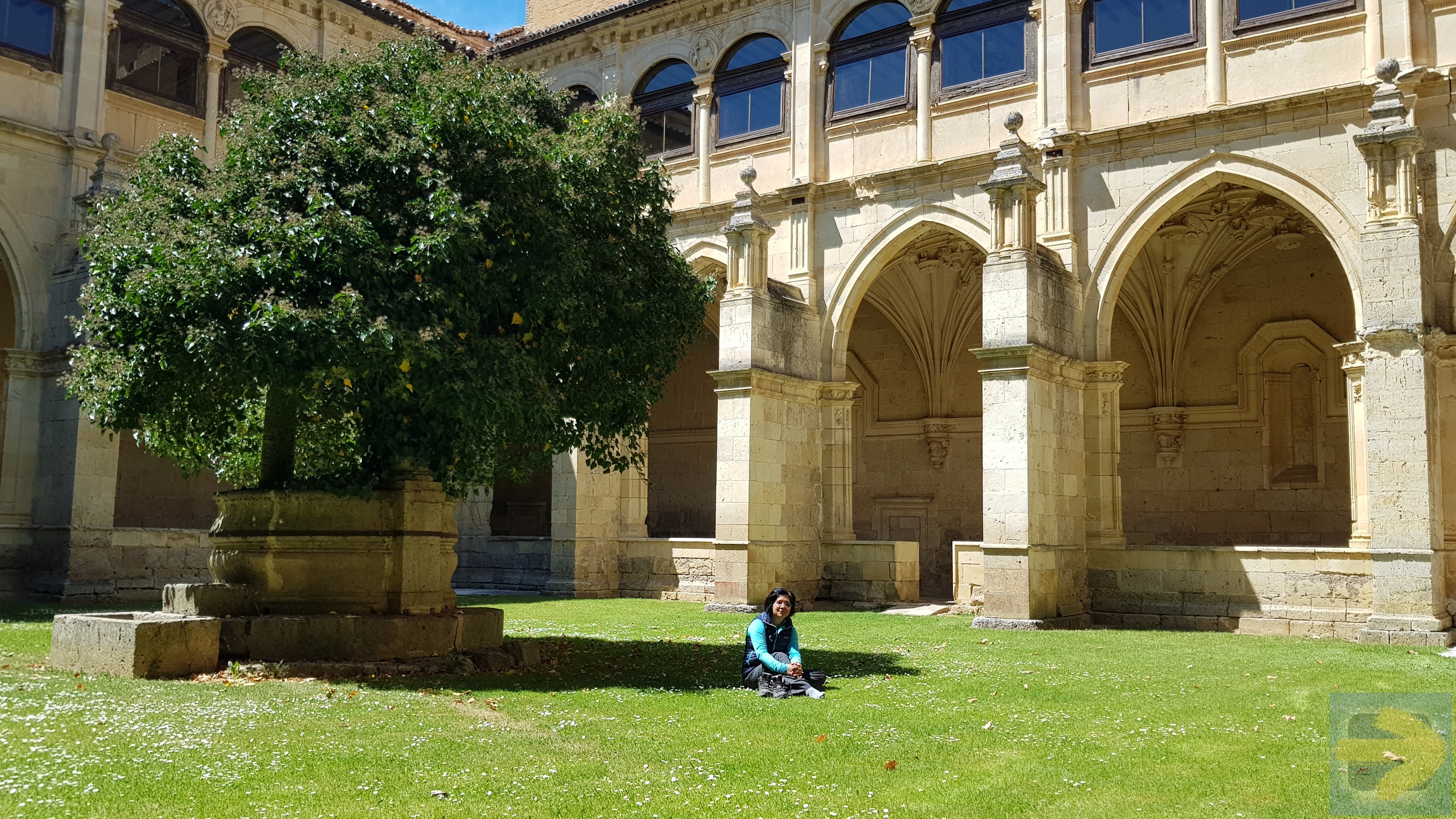 Calming Cloisters