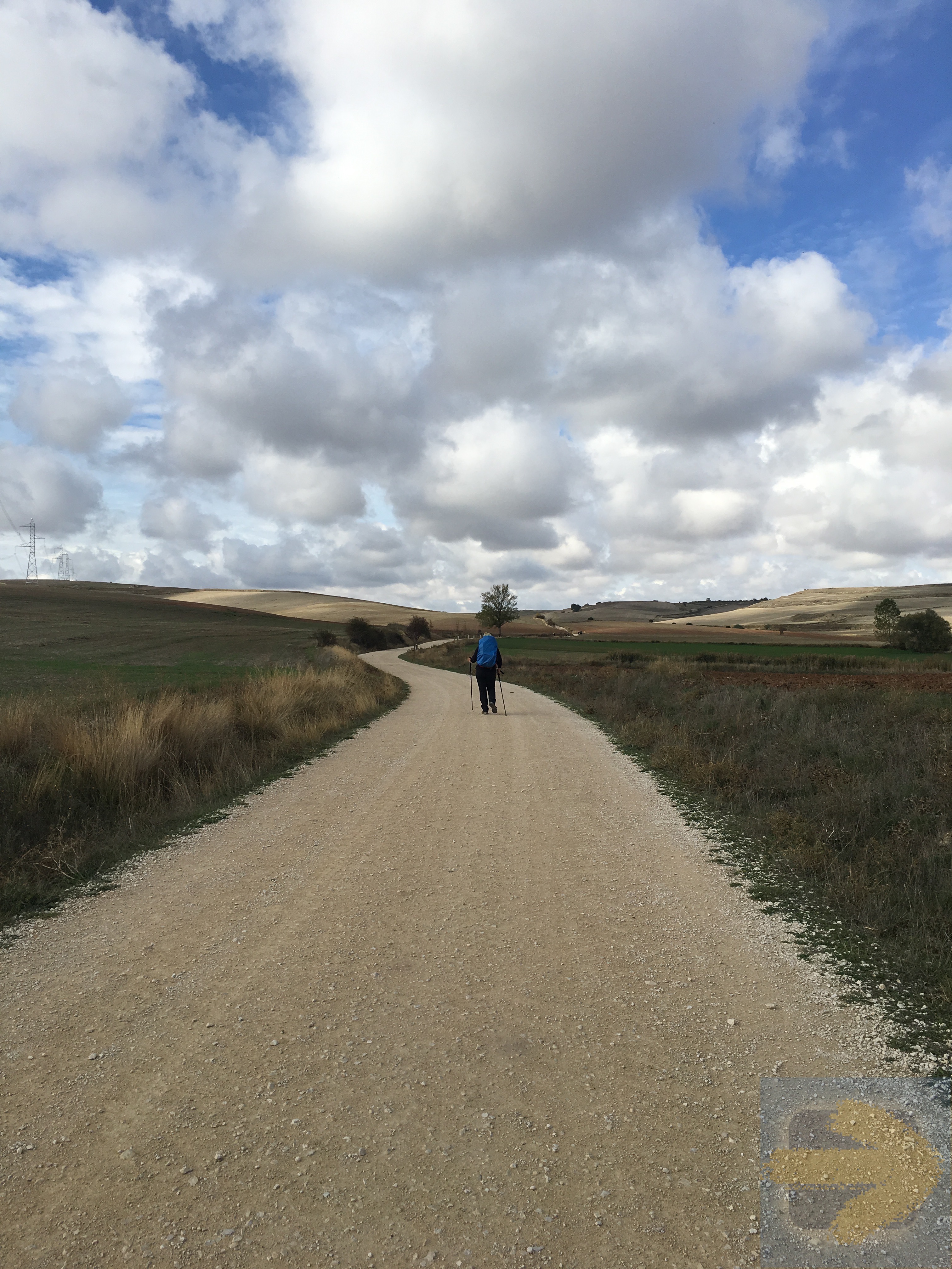Deb walking the Camino Frances