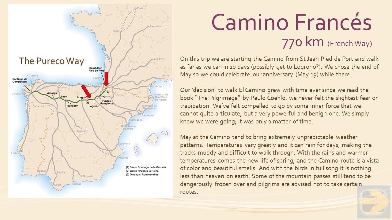 El Camino Frances ~ The Pureco Way