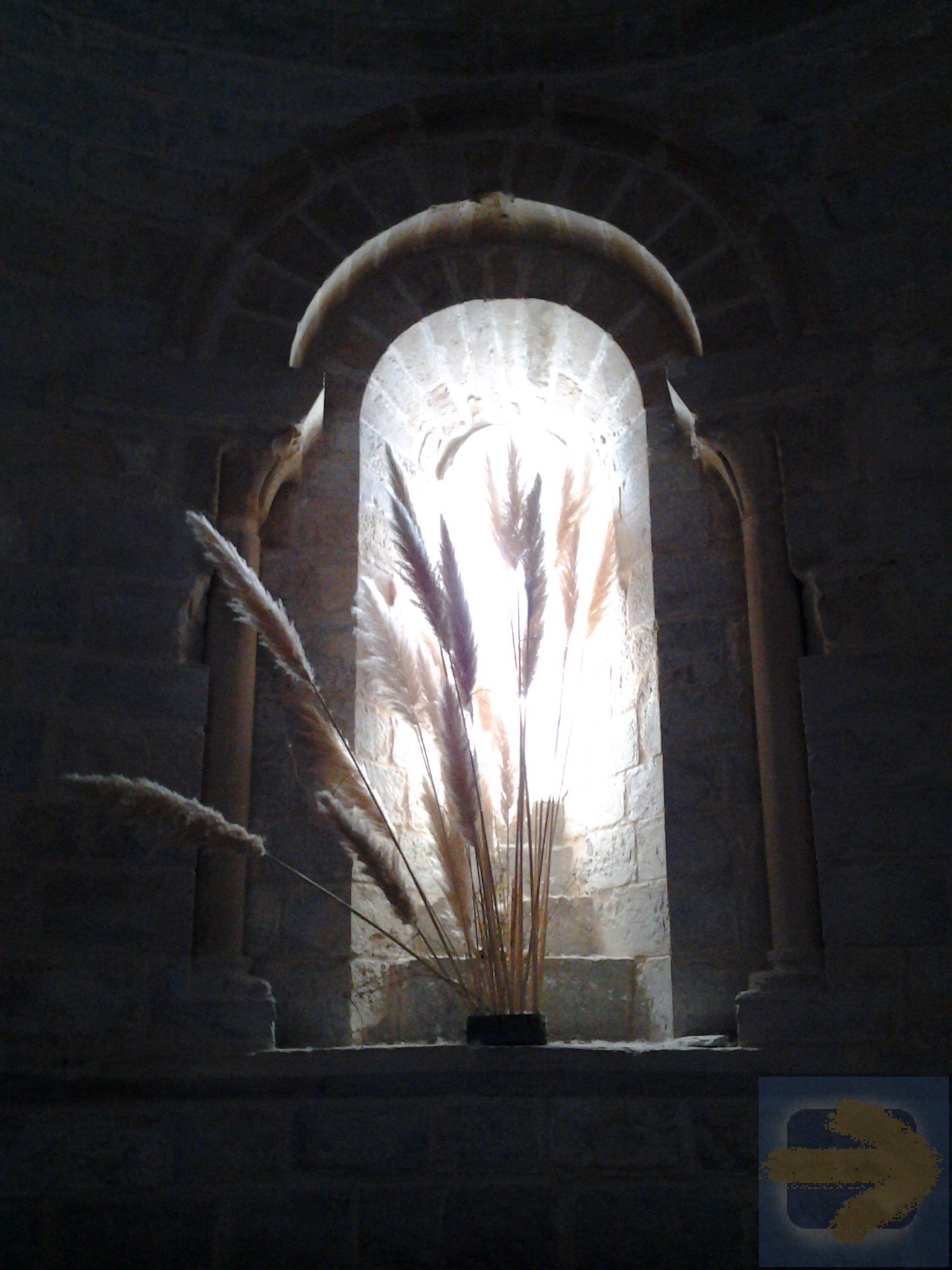 Fern light up through an Alabaster window