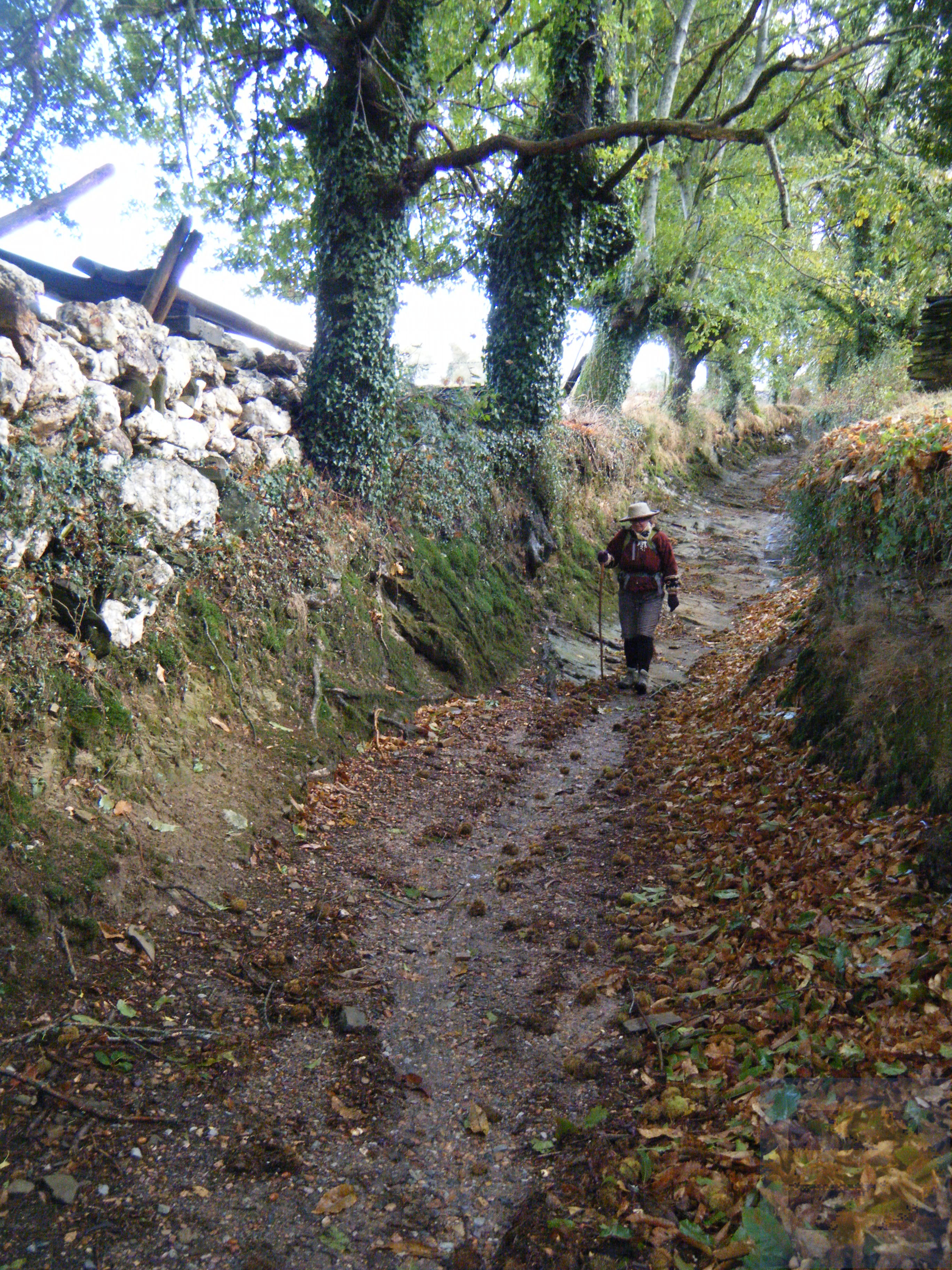 Galicia (Hobbitland) Walking in a Stream