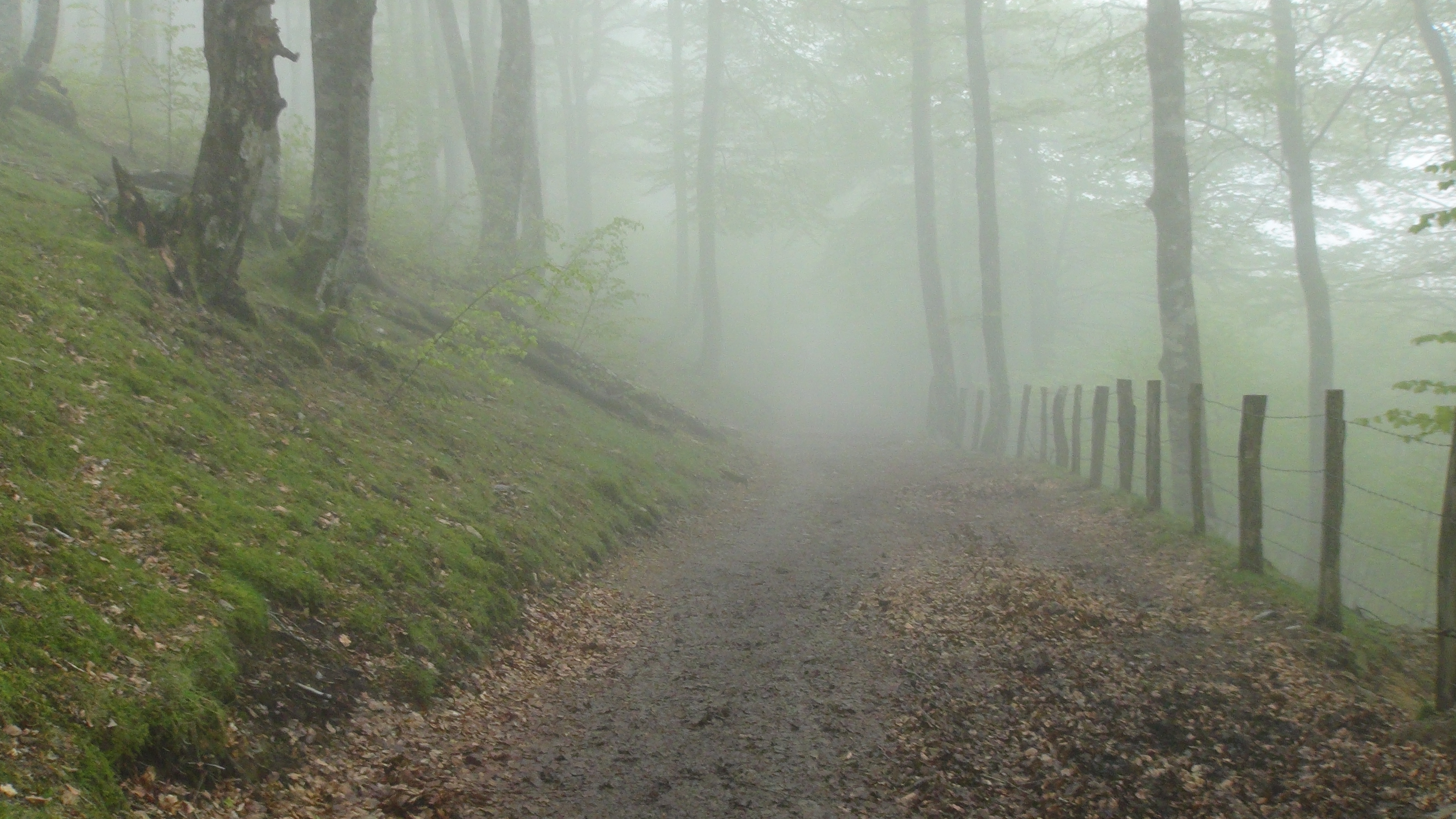 Mist on the Route Napoleon