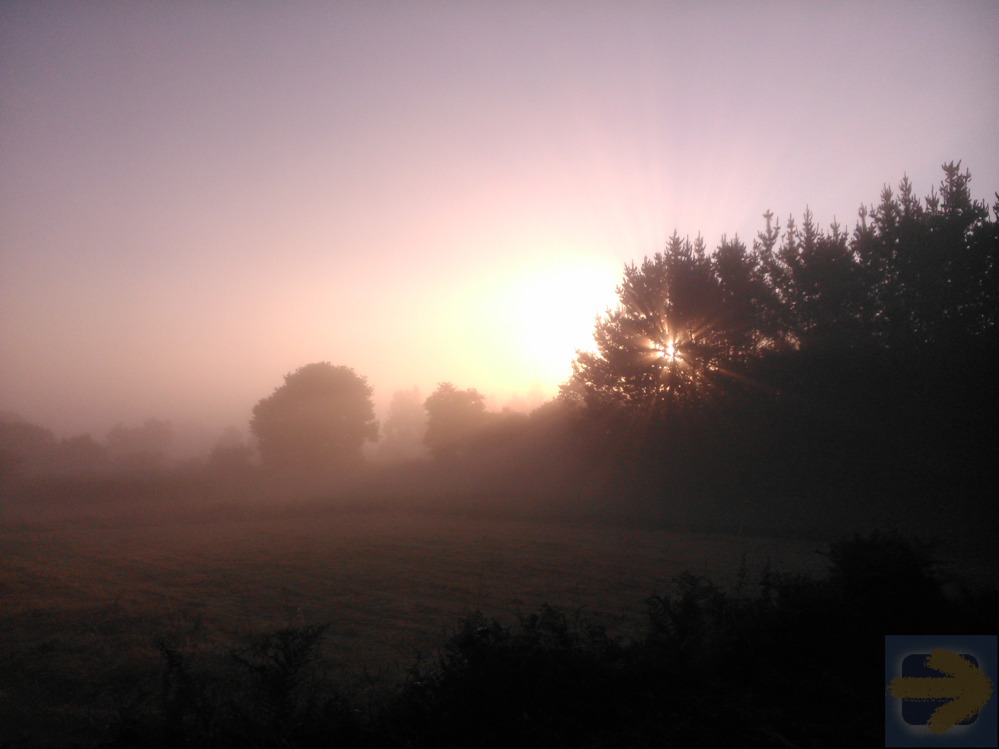 Misty morning in Galicia - August 2014
