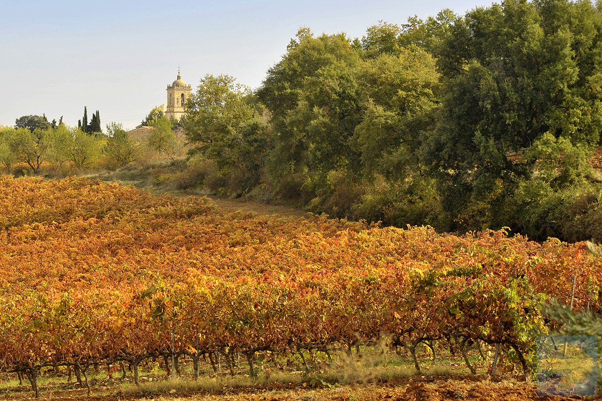 Monasterio de Irache among autumn-coloured vineyards
