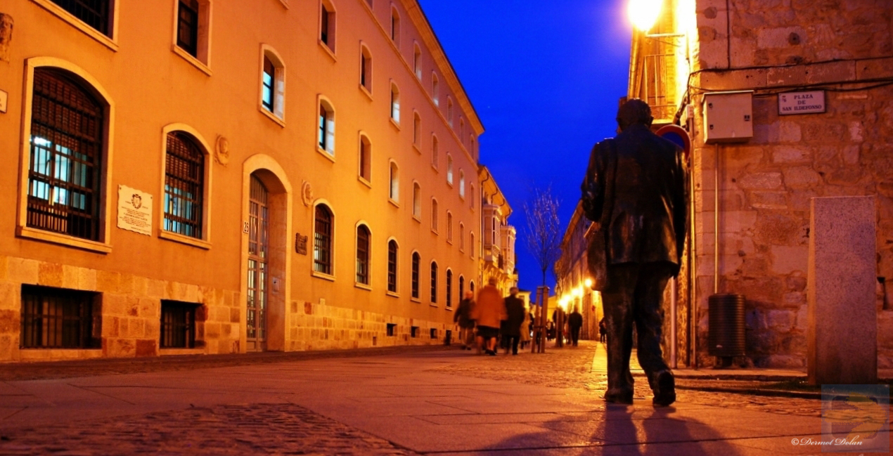 "Moving Statue" Night time Zamora, Spain