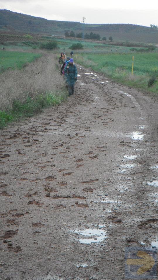 Mud mud mud and more mud