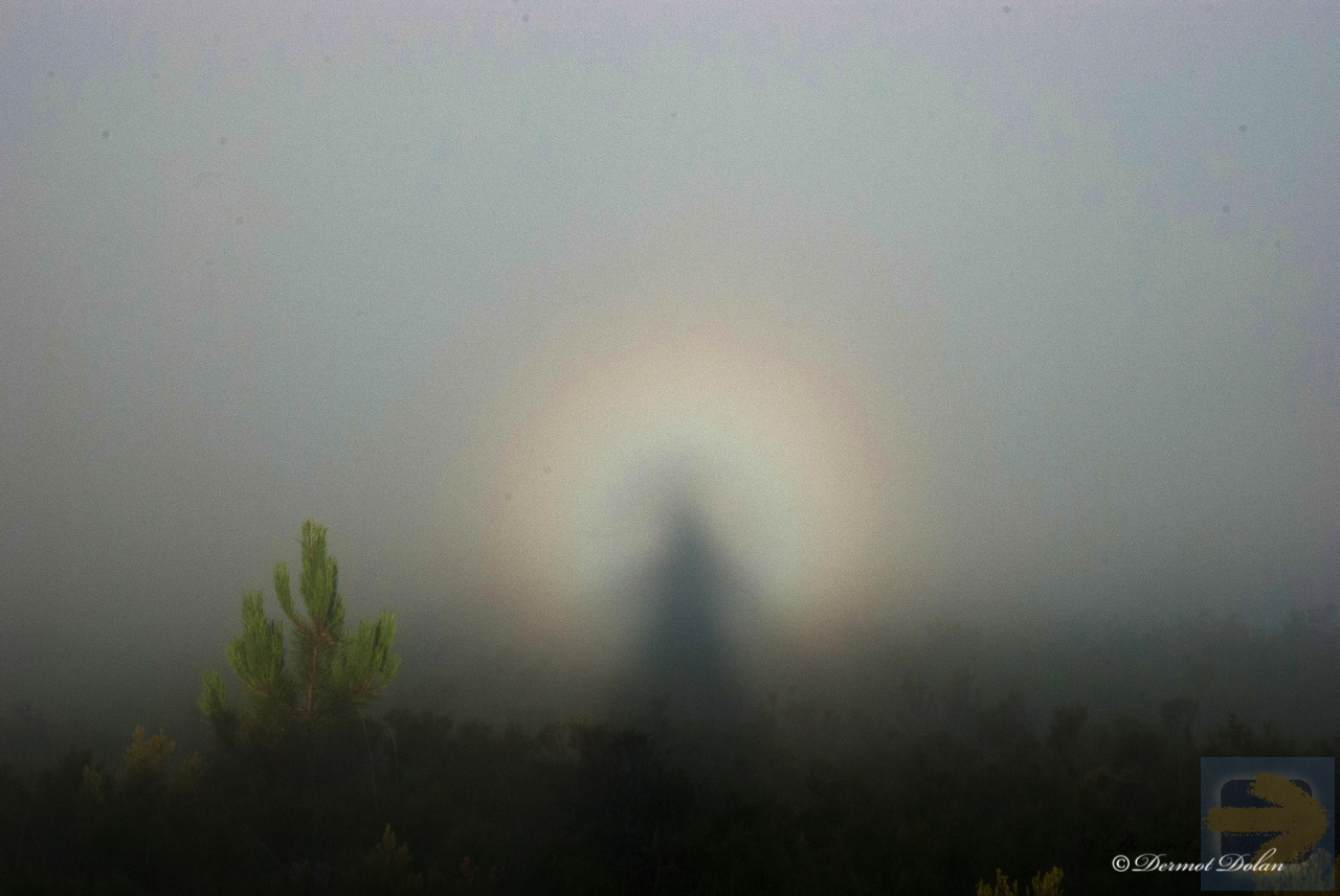 Myself high in the Mountains of Asturias, I believe this is the rare "Brocken Spectre" also know as the Solar Glory or Glory Halo.