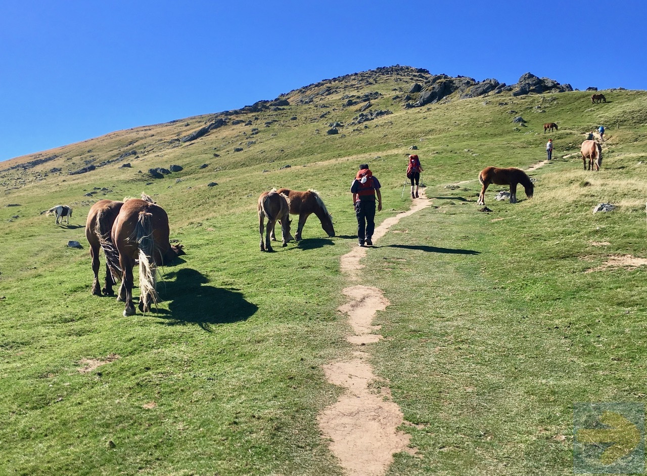 Pony trail to Col de Lepoeder