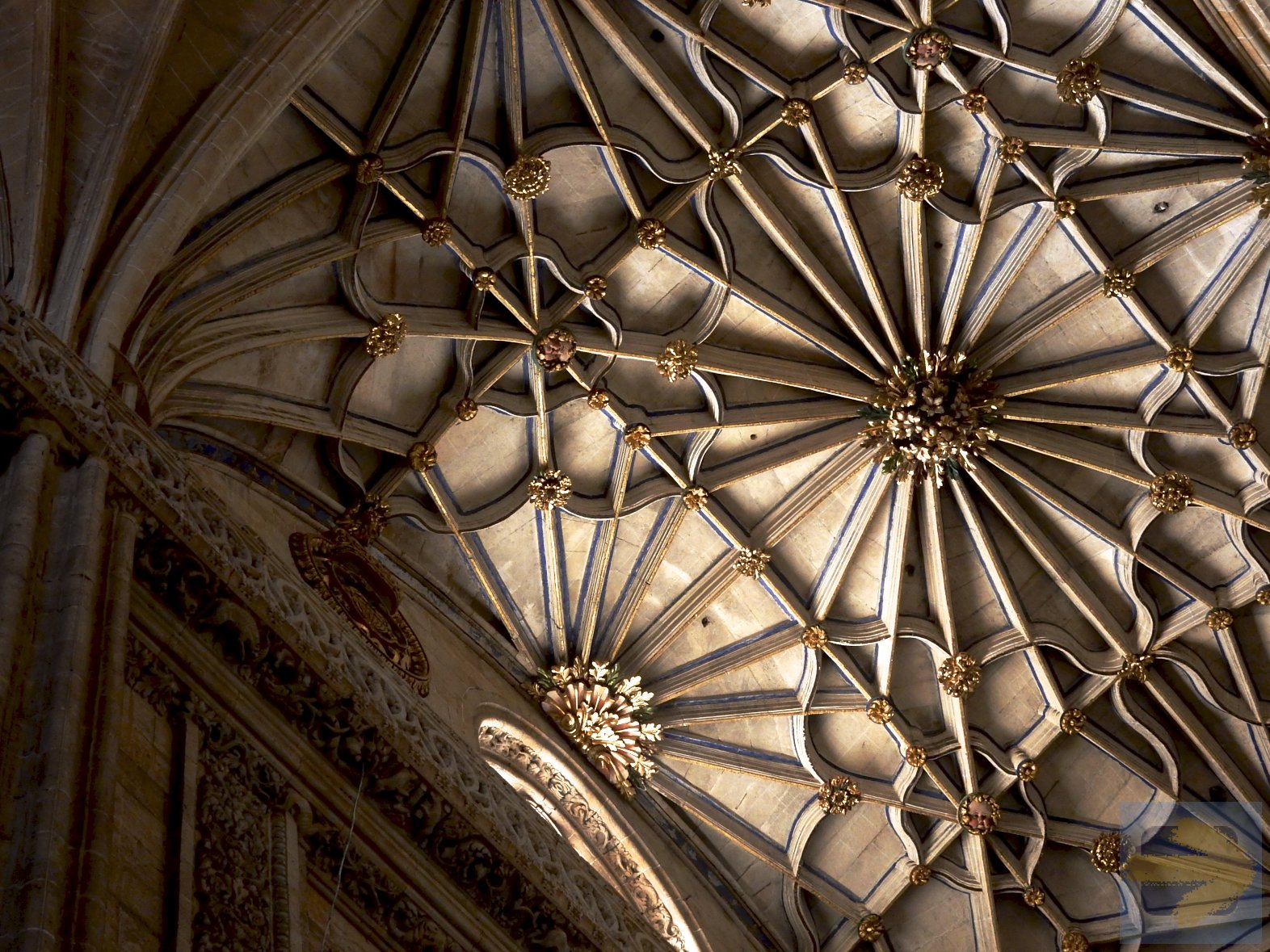 Salamanca Cathedral ceiling