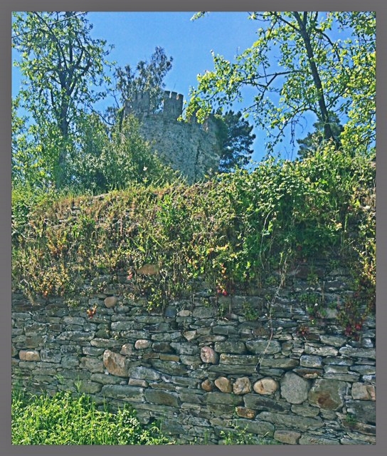 Sarria Castle