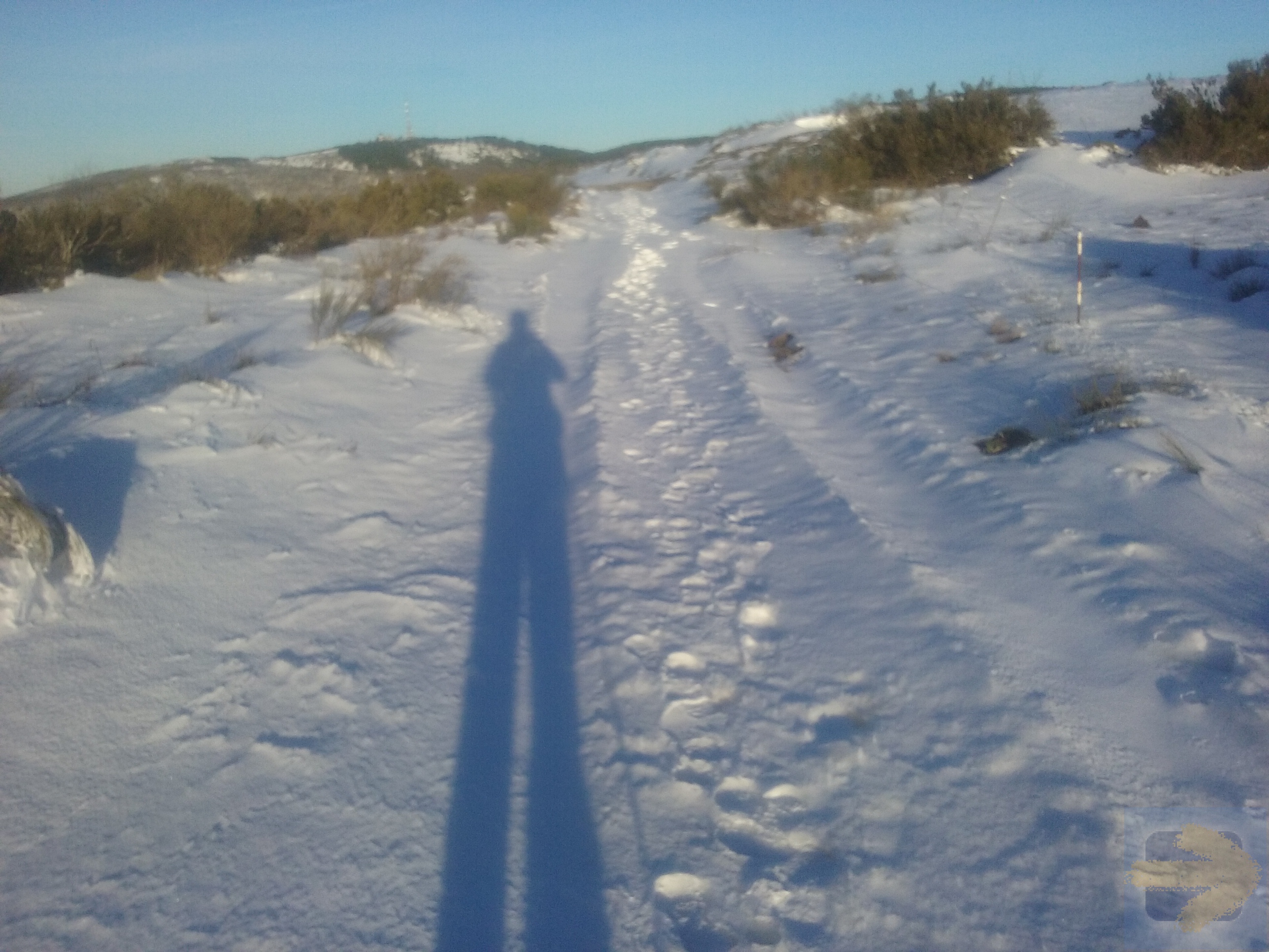 Self portrait in the snow today 1 March at Manjarin