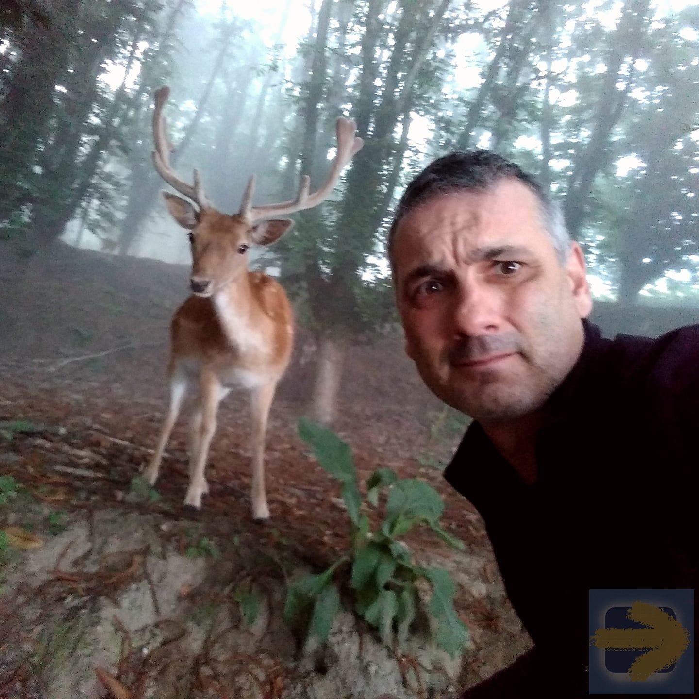 Selfie with Bambi