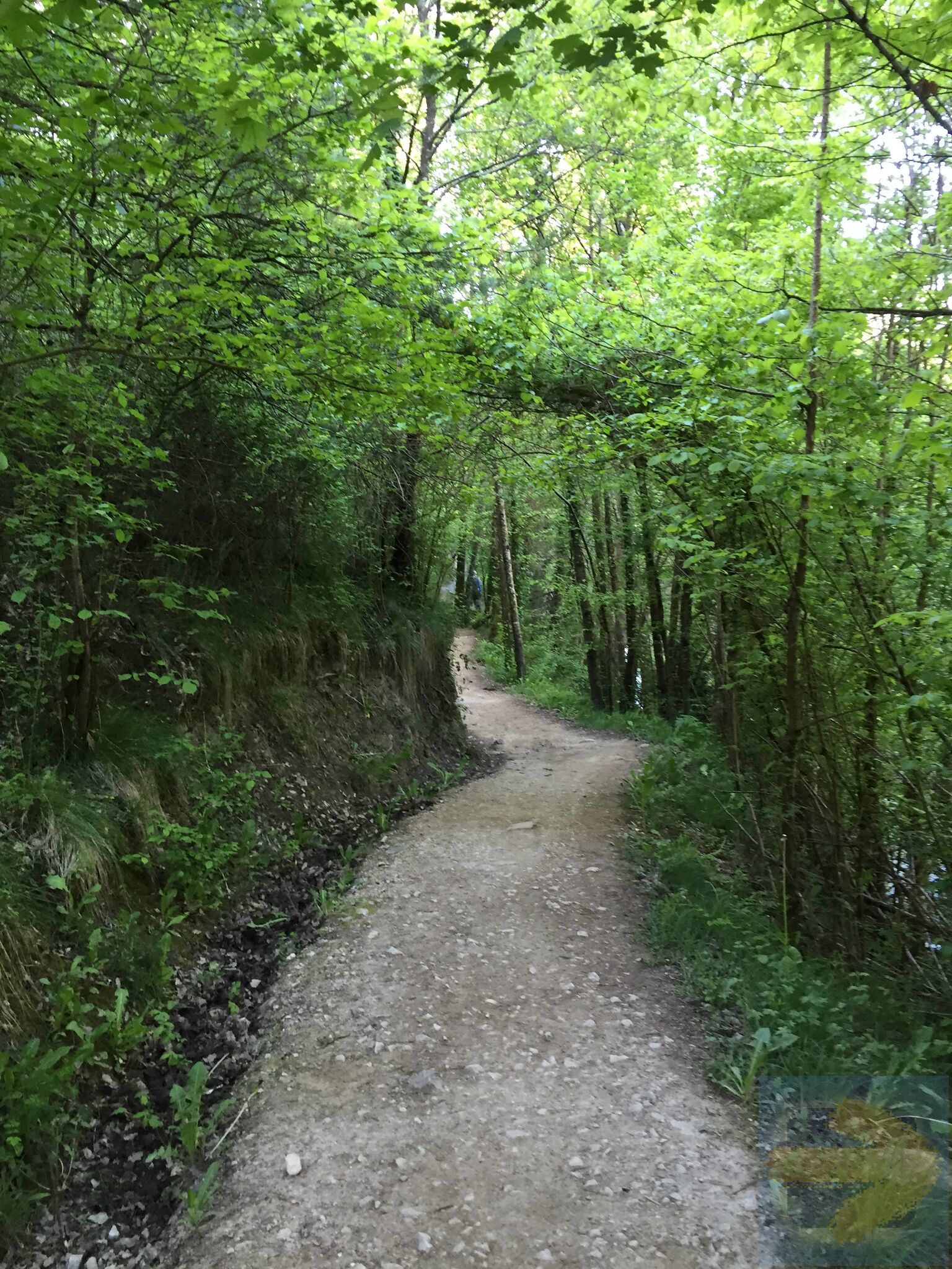 Strolling thru the Pyrenees May 2016
