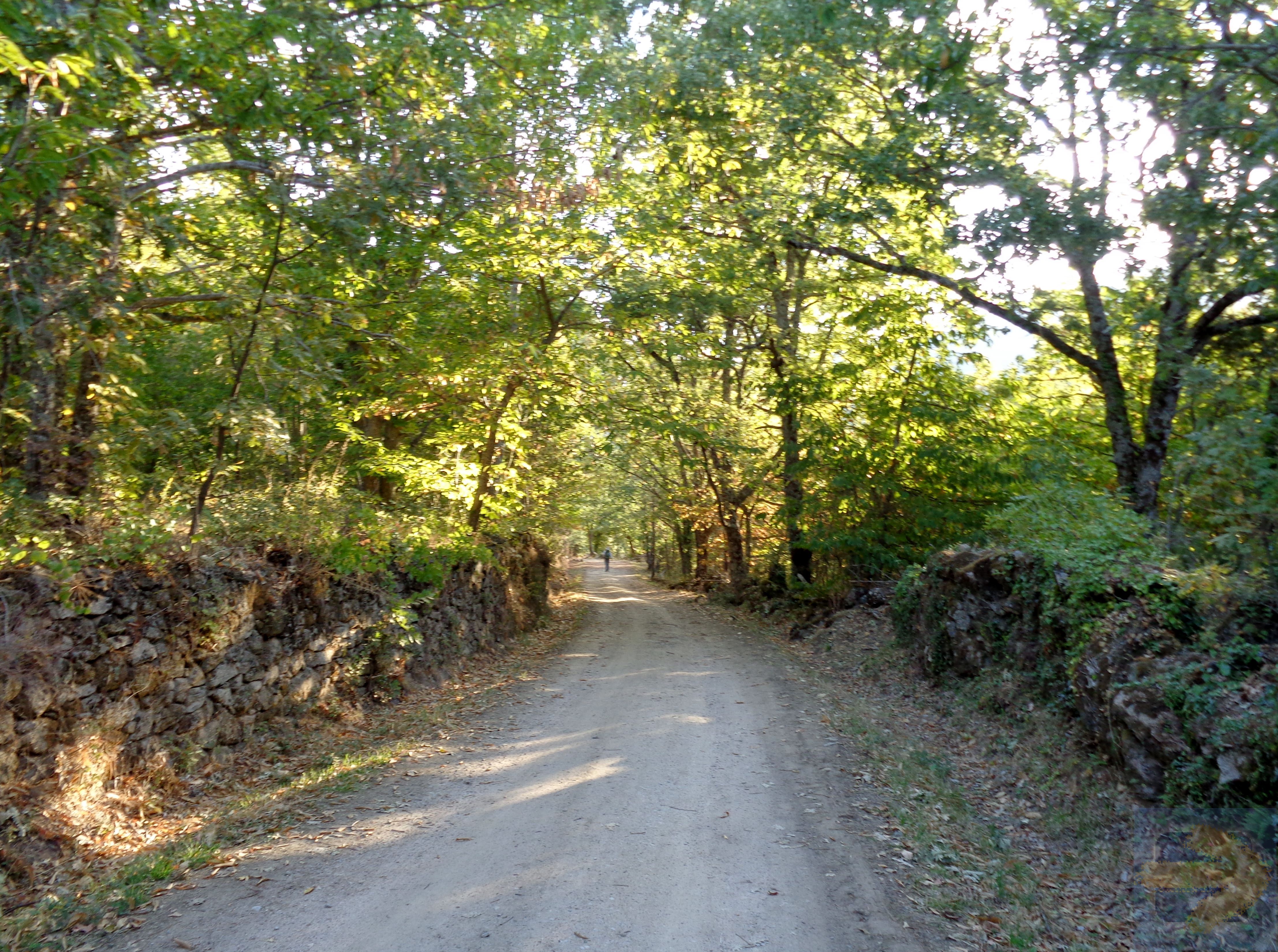 Trail to Valverde de Valdelacasa