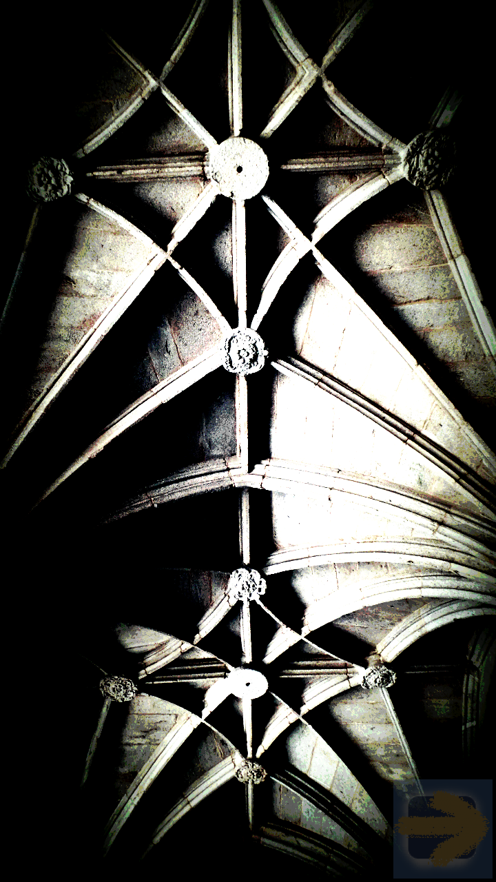 Vaulted ceiling of the cloister