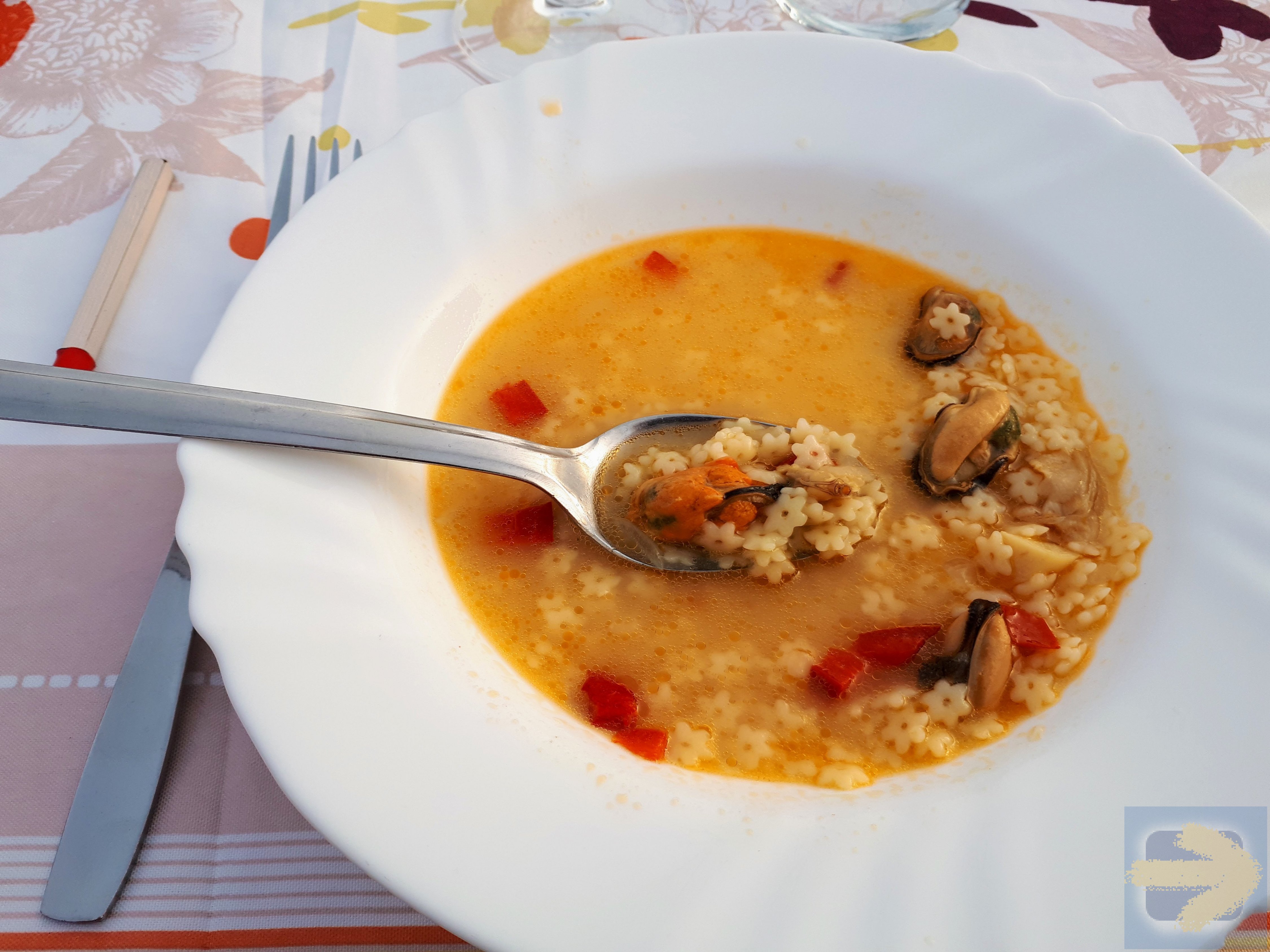 VdlP:  The honest soup when it is best