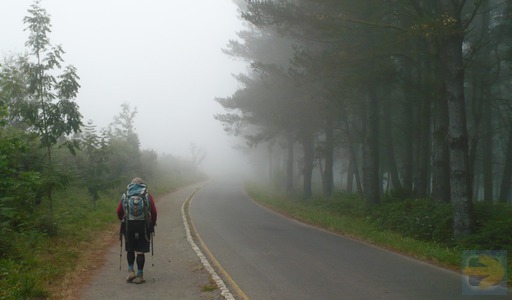 Walking through the morning fog