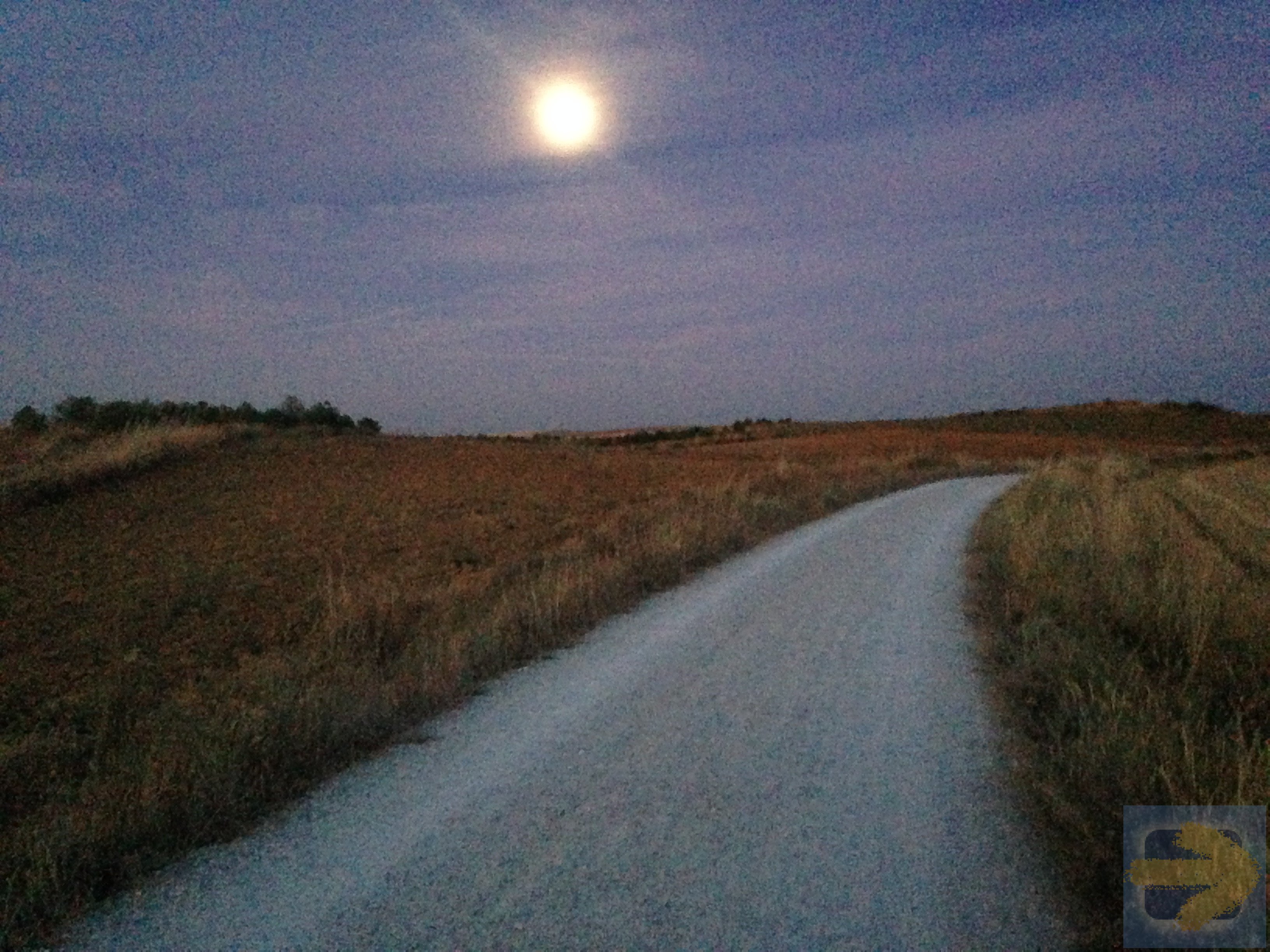 Walking under the morning moon