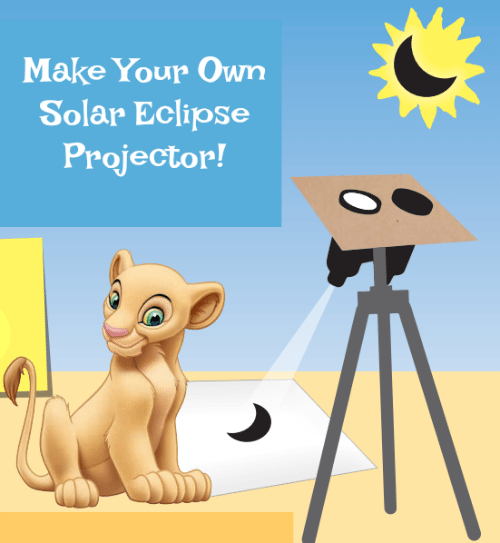 DIY-Solar-Eclipse-Binocular-Projector.png