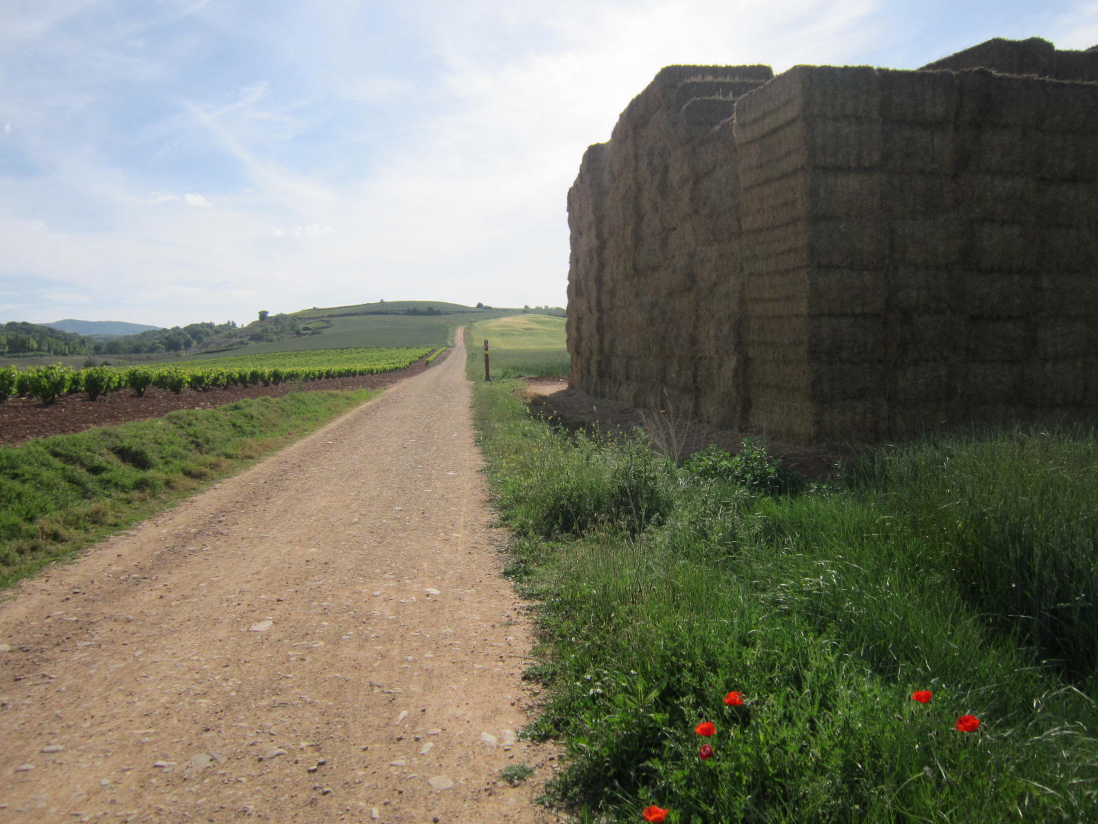 hay-bales-on-the-camino-de-santiago.jpg